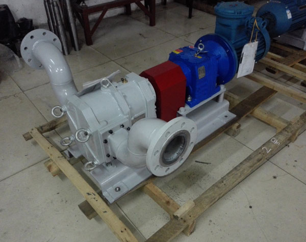 不銹鋼轉子泵生產廠家